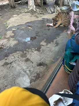 恩賜上野動物園に投稿された画像（2026/3/27）