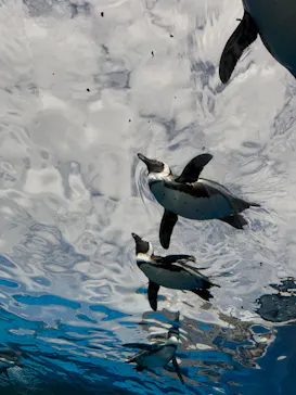 サンシャイン水族館に投稿された画像（2026/3/27）