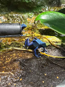 サンシャイン水族館に投稿された画像（2026/3/27）