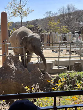 名古屋市東山動植物園に投稿された画像（2026/3/27）