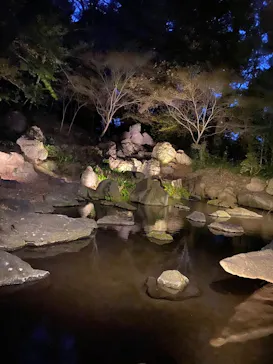 六義園に投稿された画像（2026/3/27）