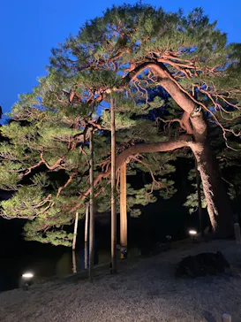 六義園に投稿された画像（2026/3/27）