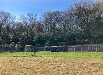 名古屋市東山動植物園に投稿された画像（2026/3/27）