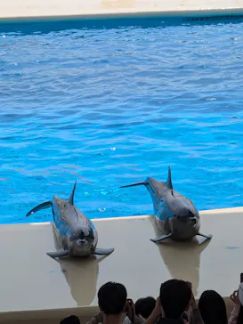 マリンワールド海の中道に投稿された画像（2026/3/27）