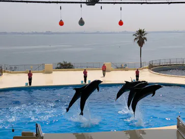 マリンワールド海の中道に投稿された画像（2026/3/27）