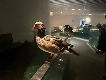 NIFREL（ニフレル）に投稿された画像（2026/3/27）