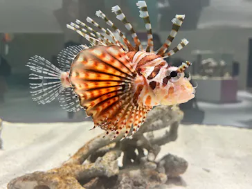 NIFREL（ニフレル）に投稿された画像（2026/3/27）