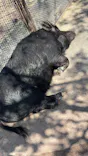 ビオスの丘に投稿された画像（2026/3/27）