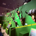 特別展「超危険生物展　科学で挑む生き物の本気」に投稿された画像（2026/3/27）