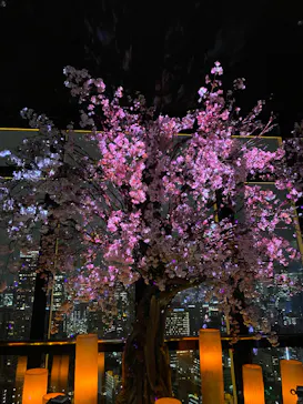 東京タワーに投稿された画像（2026/3/27）