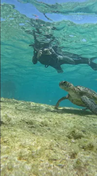 宮古島 ADVENTURE PiPi（ミヤコジマ アドベンチャー ピピ）に投稿された画像（2026/3/27）