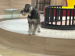 いぬカフェRio 富士見店に投稿された画像（2026/3/27）