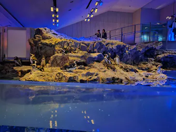 すみだ水族館に投稿された画像（2026/3/27）