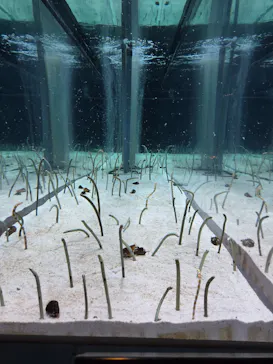 すみだ水族館に投稿された画像（2026/3/27）