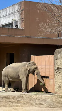 名古屋市東山動植物園に投稿された画像（2026/3/27）