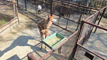 ANIMAL WONDER REZOURT 市原ぞうの国・サユリワールドに投稿された画像（2026/3/27）