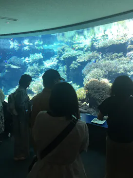 沖縄美ら海水族館に投稿された画像（2026/3/27）