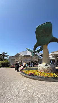 沖縄美ら海水族館に投稿された画像（2026/3/27）