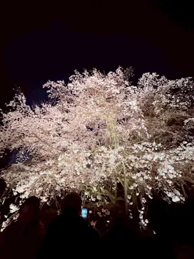 六義園に投稿された画像（2026/3/27）