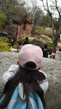 天王寺動物園に投稿された画像（2026/3/27）