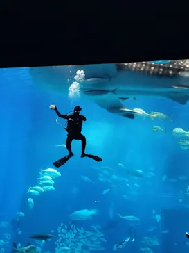 沖縄美ら海水族館に投稿された画像（2026/3/27）
