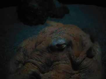 サンシャイン水族館に投稿された画像（2026/3/27）