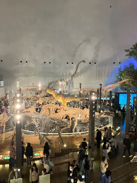 福井県立恐竜博物館に投稿された画像（2026/3/27）