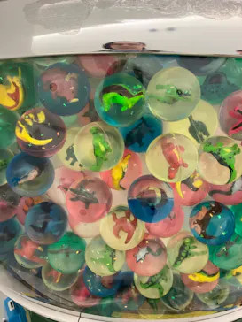 福井県立恐竜博物館に投稿された画像（2026/3/27）