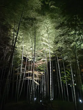 六義園に投稿された画像（2026/3/27）