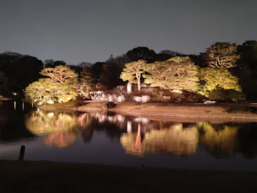 六義園に投稿された画像（2026/3/27）