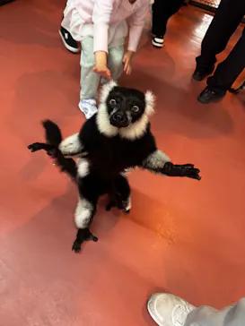 那須ワールドモンキーパークに投稿された画像（2026/3/27）