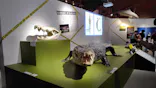 特別展「超危険生物展　科学で挑む生き物の本気」に投稿された画像（2026/3/28）