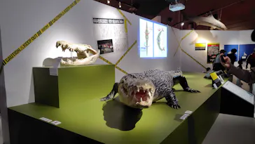 特別展「超危険生物展　科学で挑む生き物の本気」に投稿された画像（2026/3/27）