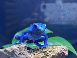 体感型カエル館KawaZooに投稿された画像（2026/3/27）