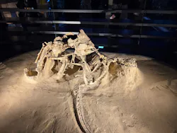 福井県立恐竜博物館に投稿された画像（2026/3/27）