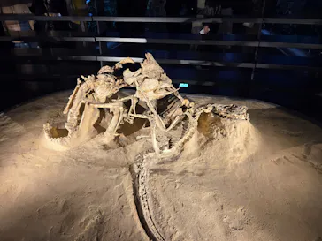 福井県立恐竜博物館に投稿された画像（2026/3/27）