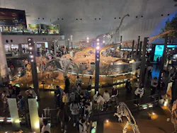 福井県立恐竜博物館に投稿された画像（2026/3/27）