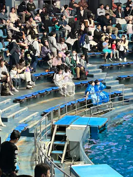 マクセル アクアパーク品川に投稿された画像（2026/3/28）