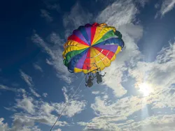 武藤潜水に投稿された画像（2026/3/28）