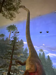 福井県立恐竜博物館に投稿された画像（2026/3/28）