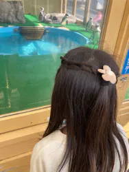 名古屋港水族館に投稿された画像（2026/3/28）