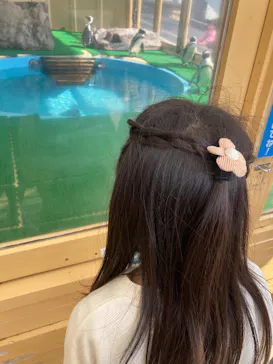 名古屋港水族館に投稿された画像（2026/3/28）