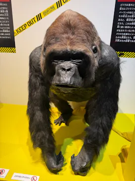 特別展「超危険生物展　科学で挑む生き物の本気」に投稿された画像（2026/3/28）