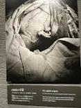 広島平和記念資料館に投稿された画像（2026/3/28）
