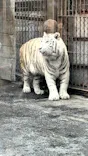 東武動物公園に投稿された画像（2026/3/28）