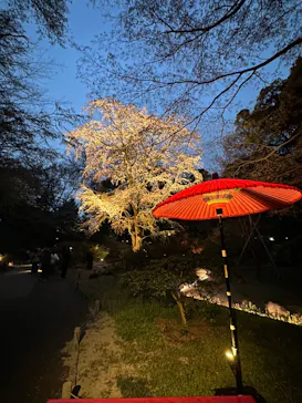 六義園に投稿された画像（2026/3/23）