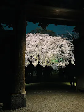 六義園に投稿された画像（2026/3/23）