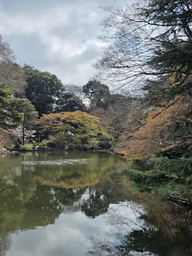 新宿御苑に投稿された画像（2026/3/28）