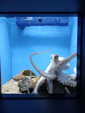 マリンワールド海の中道に投稿された画像（2026/3/28）