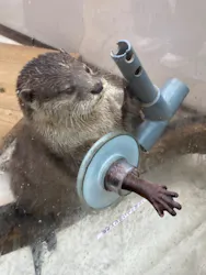 横浜・八景島シーパラダイスに投稿された画像（2026/3/28）